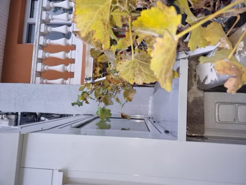 Hliníková zimní zahrada, realizace 500