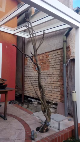 DELUXE hliníková pergola, realizace 89